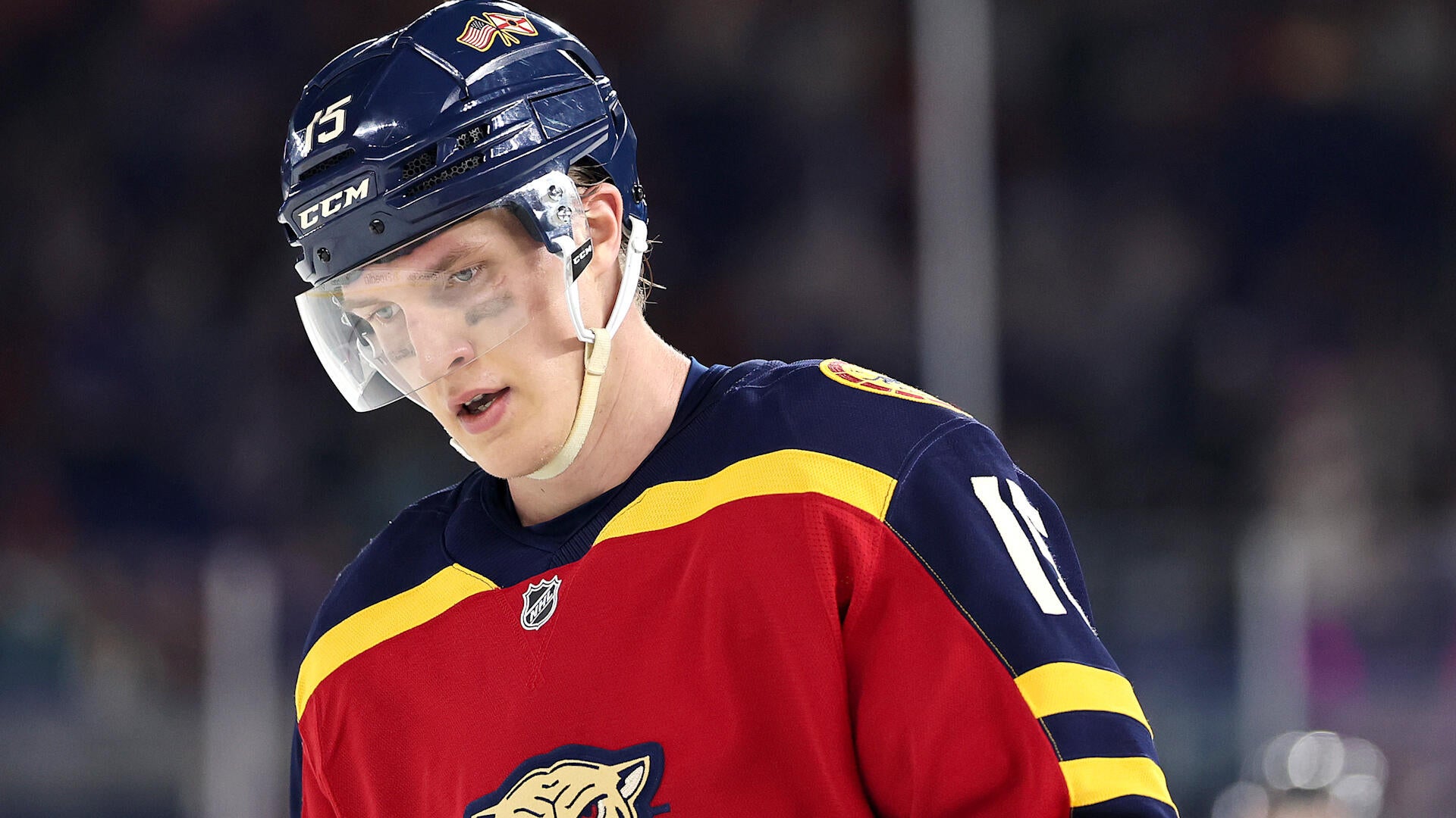 How Important is it For the Panthers to Get Healthy?