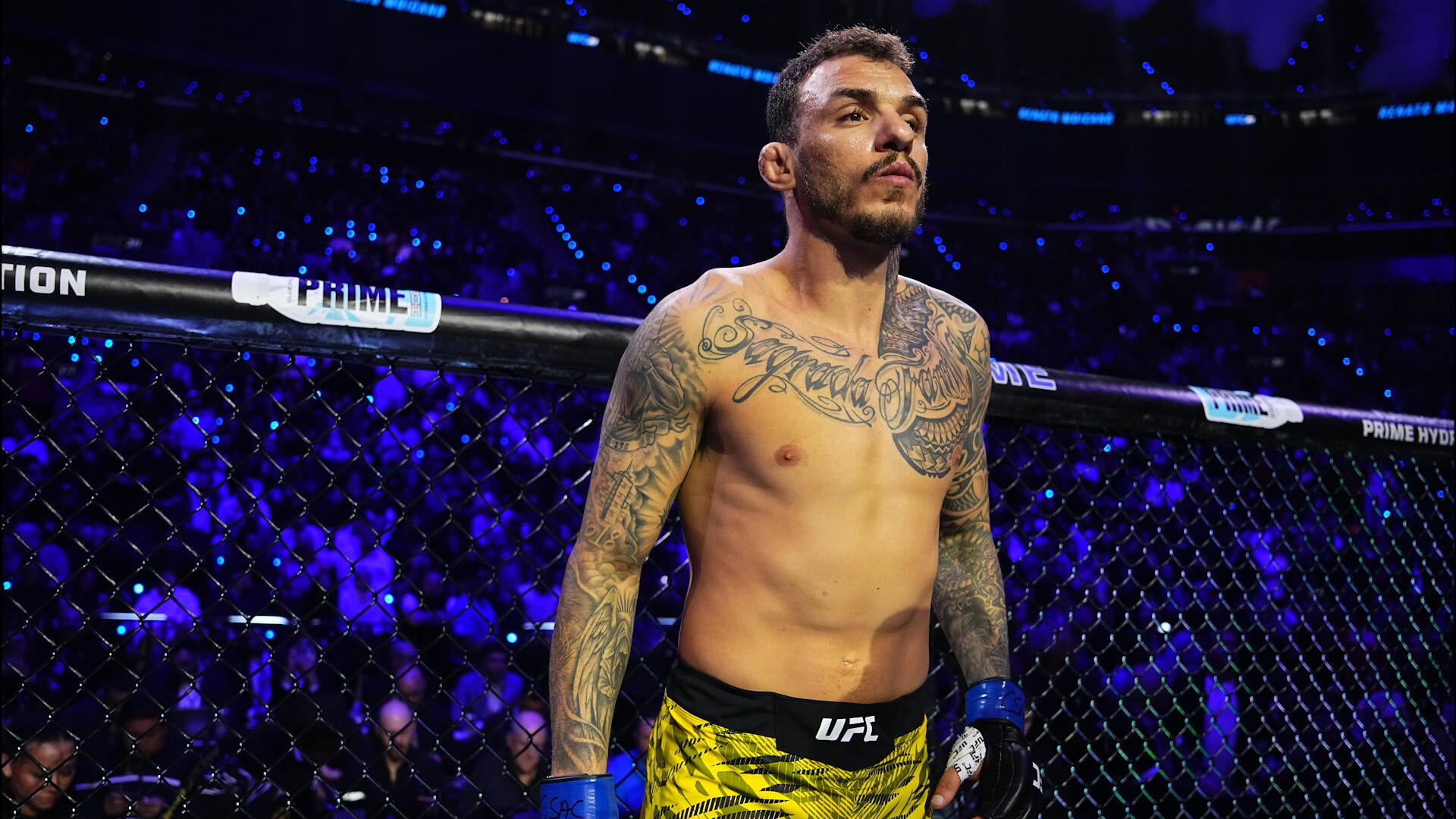 Renato Moicano Profile Before UFC Fight Night In Vegas