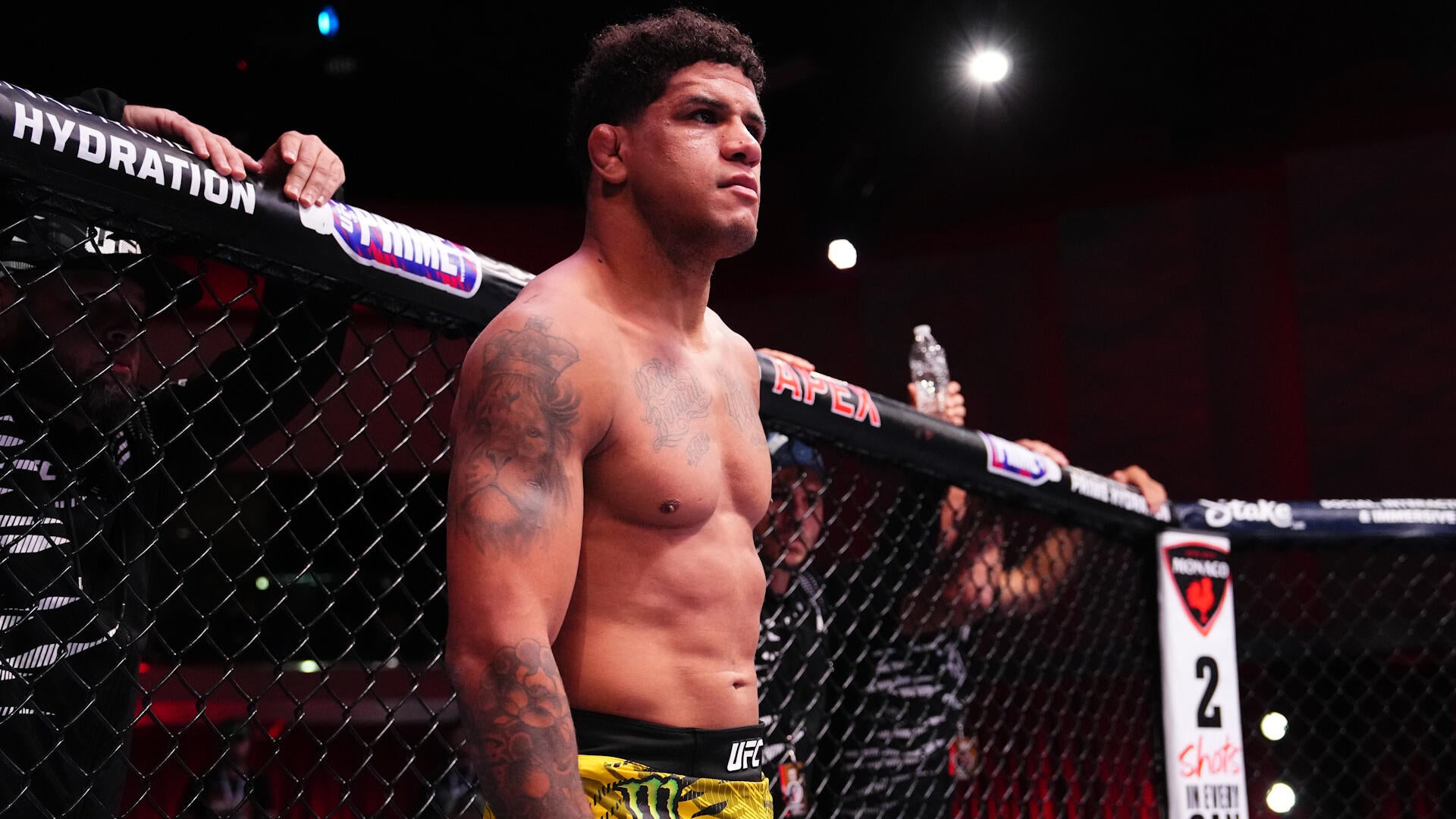 Gilbert Burns UFC Fight Night Profile: Gilbert Burns