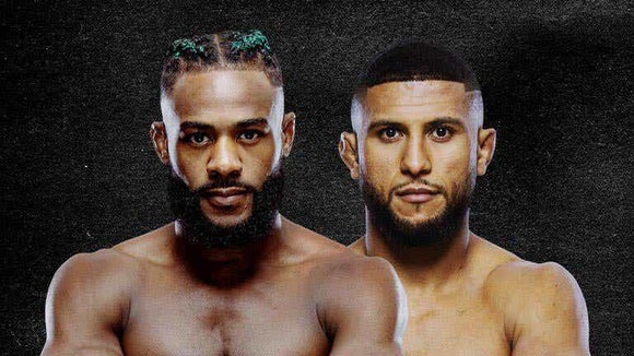 UFC Fight Night: Sterling vs. Zalal