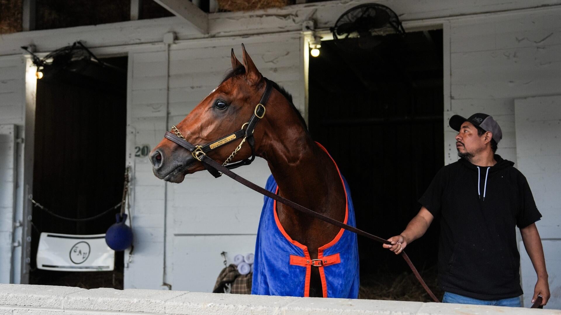 2026 Kentucky Derby predictions, horses, odds, race date: Surprising picks from elite horse racing expert