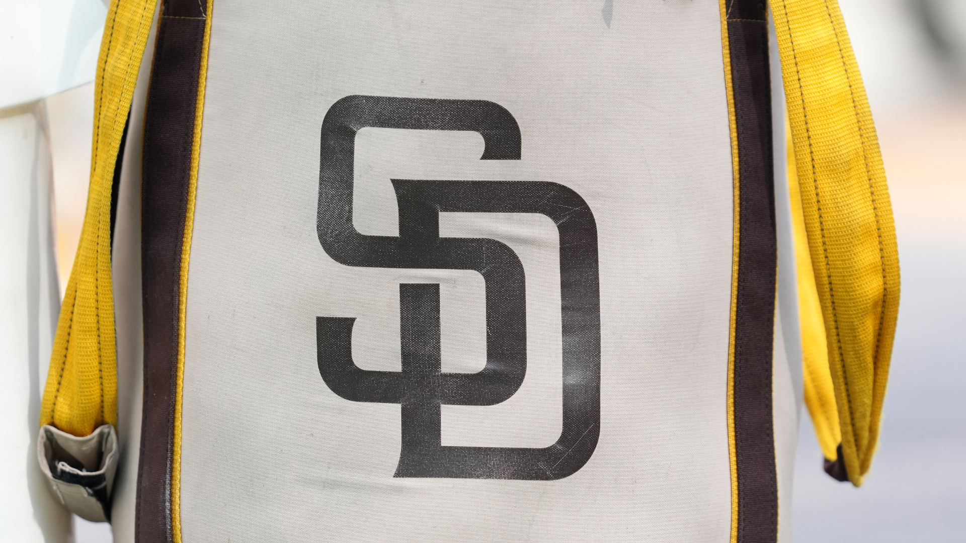 Padres prospect pleads guilty to charge of transporting undocumented immigrants within United States