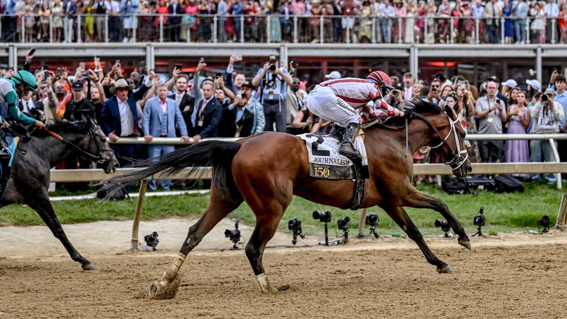 2026 Preakness Stakes: Bull by the Horns Odds, Post Position & History