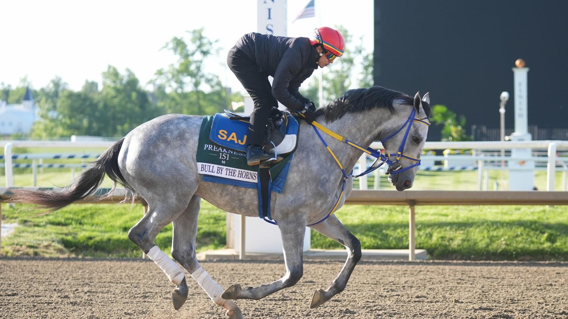 Expert Jody Demling Releases 2026 Preakness Stakes Picks After Post Draw