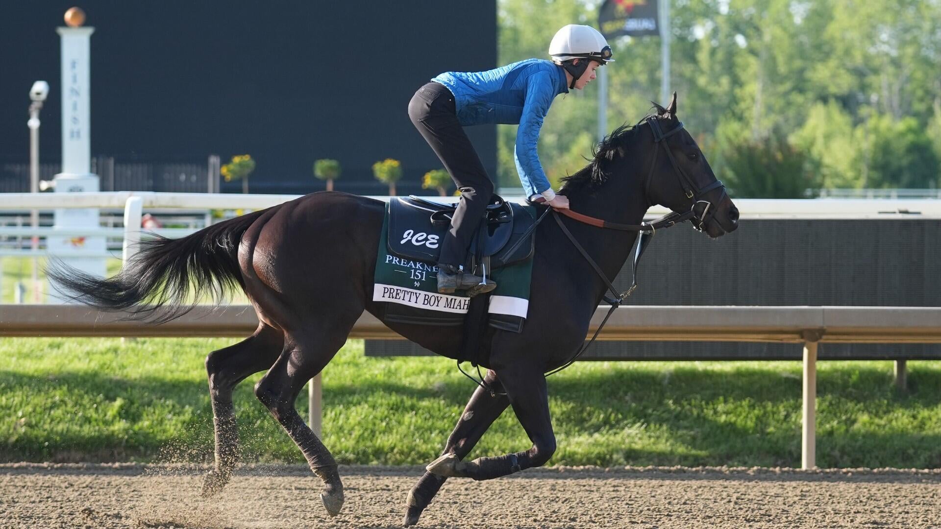 2026 Preakness Stakes predictions, horses, odds, posts, date: Surprising picks from top horse racing expert
