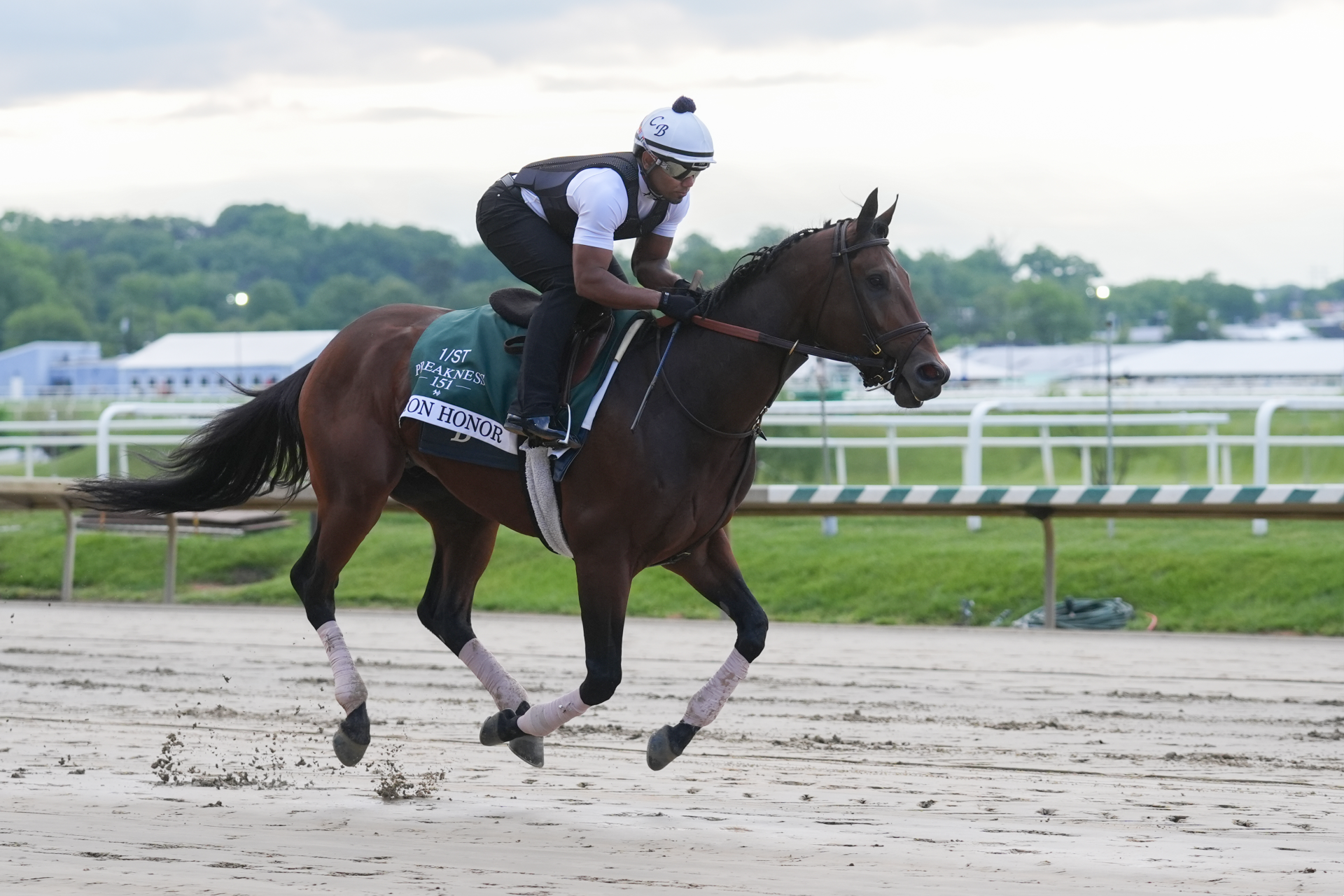 2026 Preakness Stakes: Expert Jody Demling Reveals Picks After Post Draw