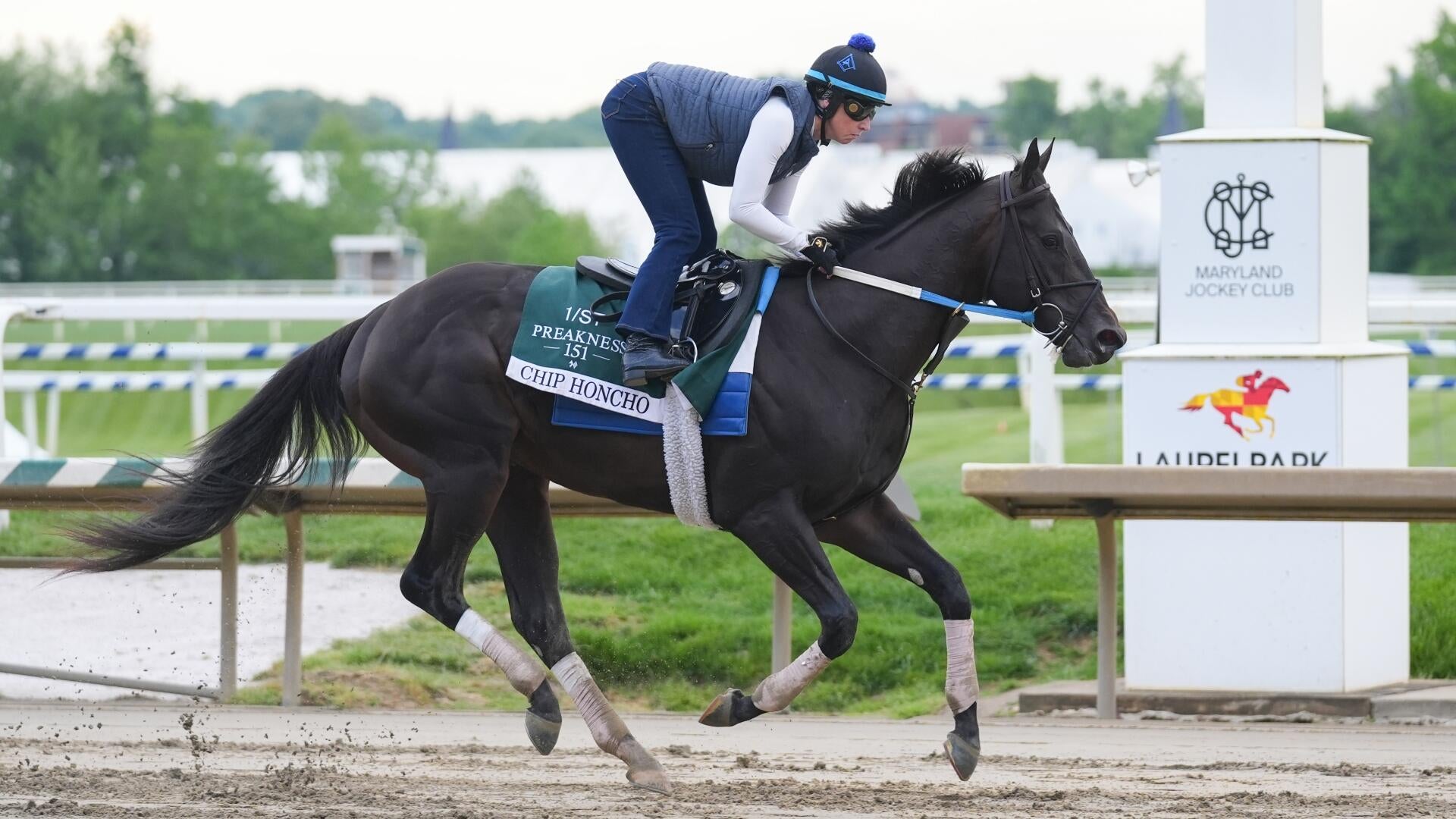 
                        2026 Preakness Stakes predictions, odds, field, contenders, post time: Picks from proven horse racing expert
                    
