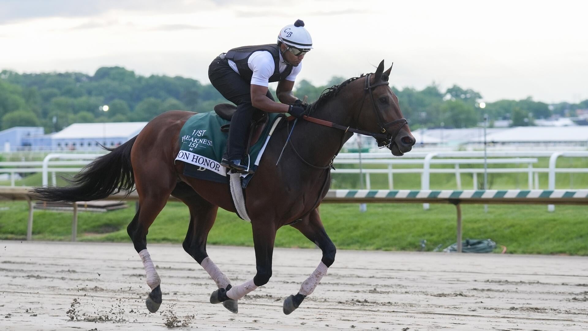 2026 Preakness Stakes horses, odds, predictions, post draw: Expert who has called 11 winners unveils picks