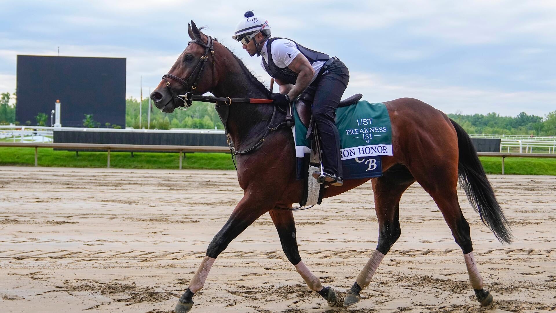 2026 Preakness Stakes: Expert Jody Demling