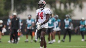 Fantasy Football League Winning Players: Chris Godwin