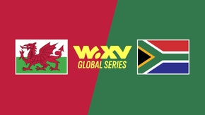 Wales vs. South Africa