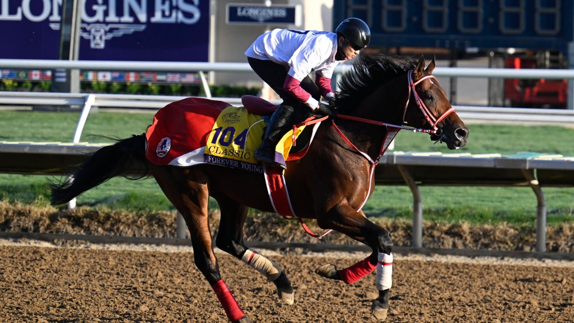 2026 Jockey Club Gold Cup predictions, horses, odds, time, post positions: Surprising picks by top expert
