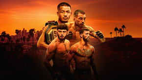 UFC 331: Van vs. Pantoja 2 