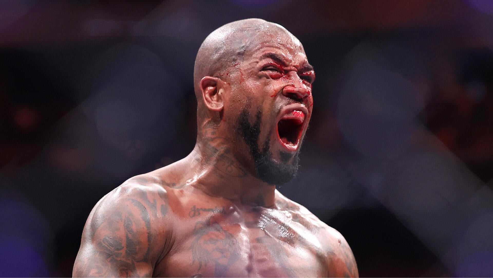 UFC 332 Undercard: Green vs. Ribovics, Wint's Return, and More Key Bouts