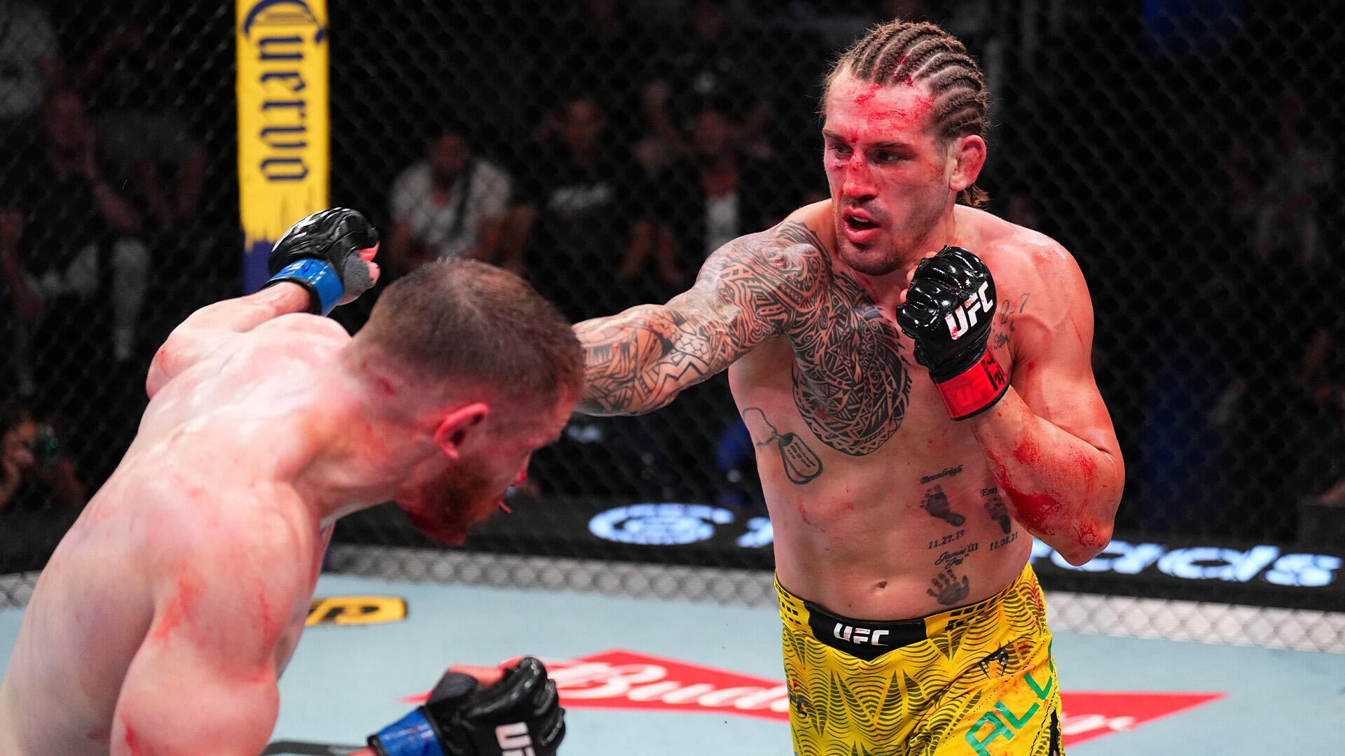 Brendan Allen's Evolution From Grappler To All-Around Mixed Martial ...