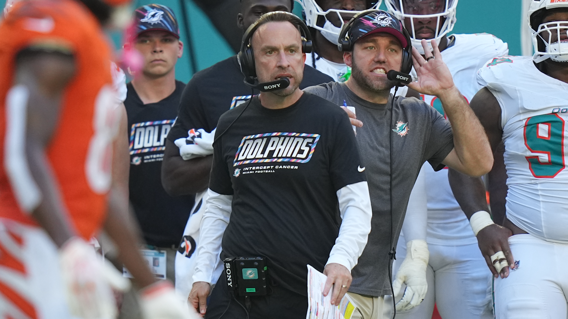 Assessing the Dolphins' 'Perfect Tank'