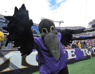 Edgar and Allan Return as Ravens Mascots