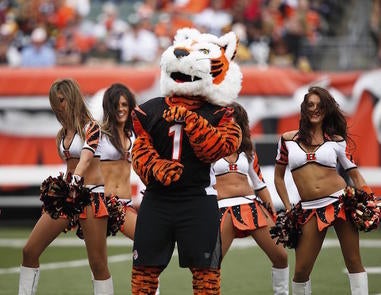 These Are the 16 Best Mascots in the NFL 