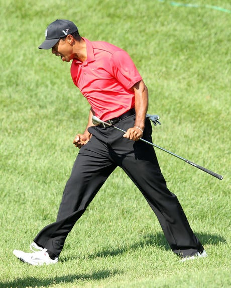 tiger.jpg