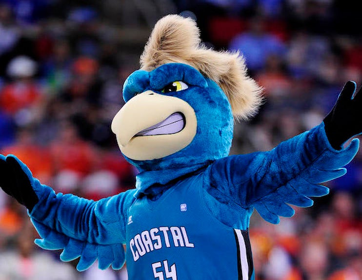 The 50 Best College Mascots You Will See During March Madness