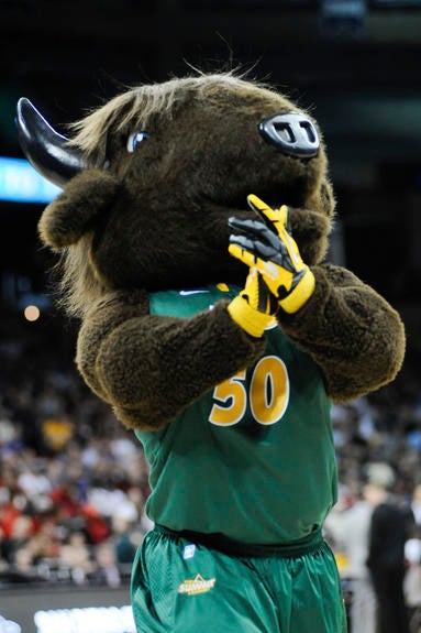 The 50 Best College Mascots You Will See During March Madness ...