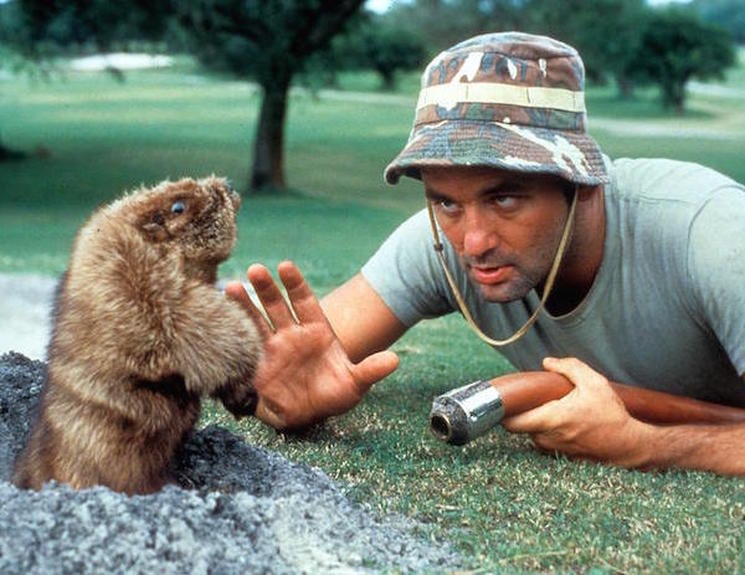 caddyshack71faa6.jpg