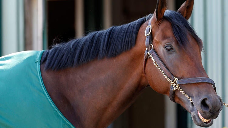 16 Preakness Stakes Post Draw Morning Line Odds Complete Field Cbssports Com