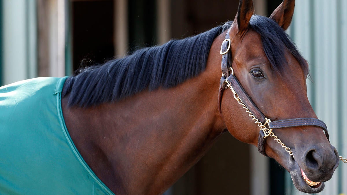 16 Preakness Stakes Post Draw Morning Line Odds Complete Field Cbssports Com