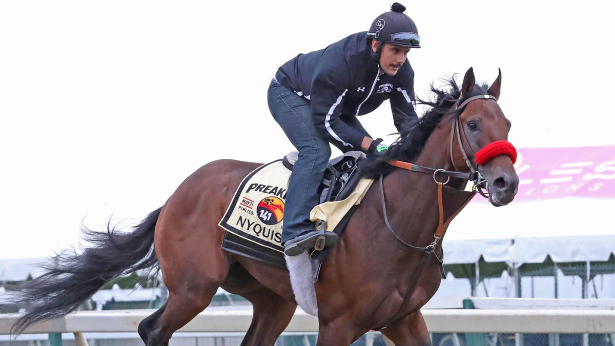 2020 Holy Bull Stakes odds, contenders, lineup: Horse racing insider