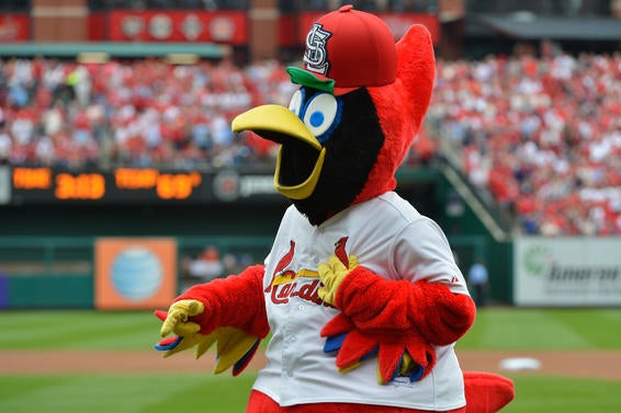 It's National Mascot Day, so let's rank the mascots of every MLB team ...