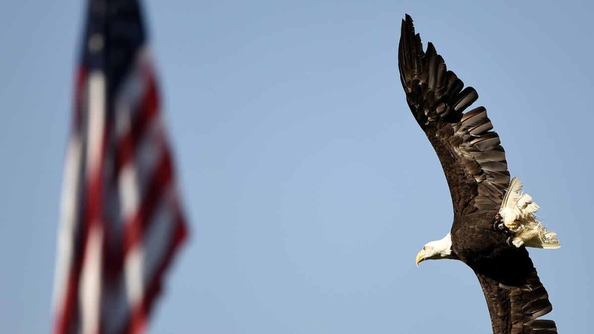 Bald eagle flies free on Fourth of July at Dodger Stadium – East Bay Times