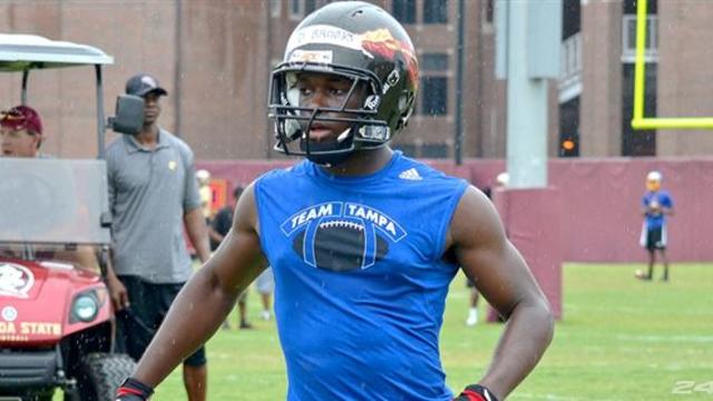noles 247 sports