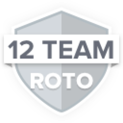 large-badge12-team-rotogrey.png
