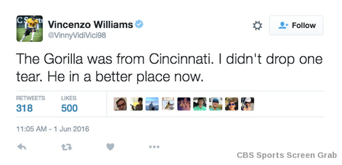 steelers-tweet-gorilla-cbs.png