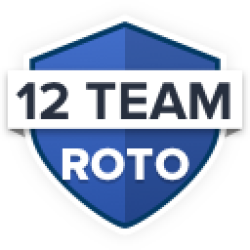 large-badge12-team-roto.png