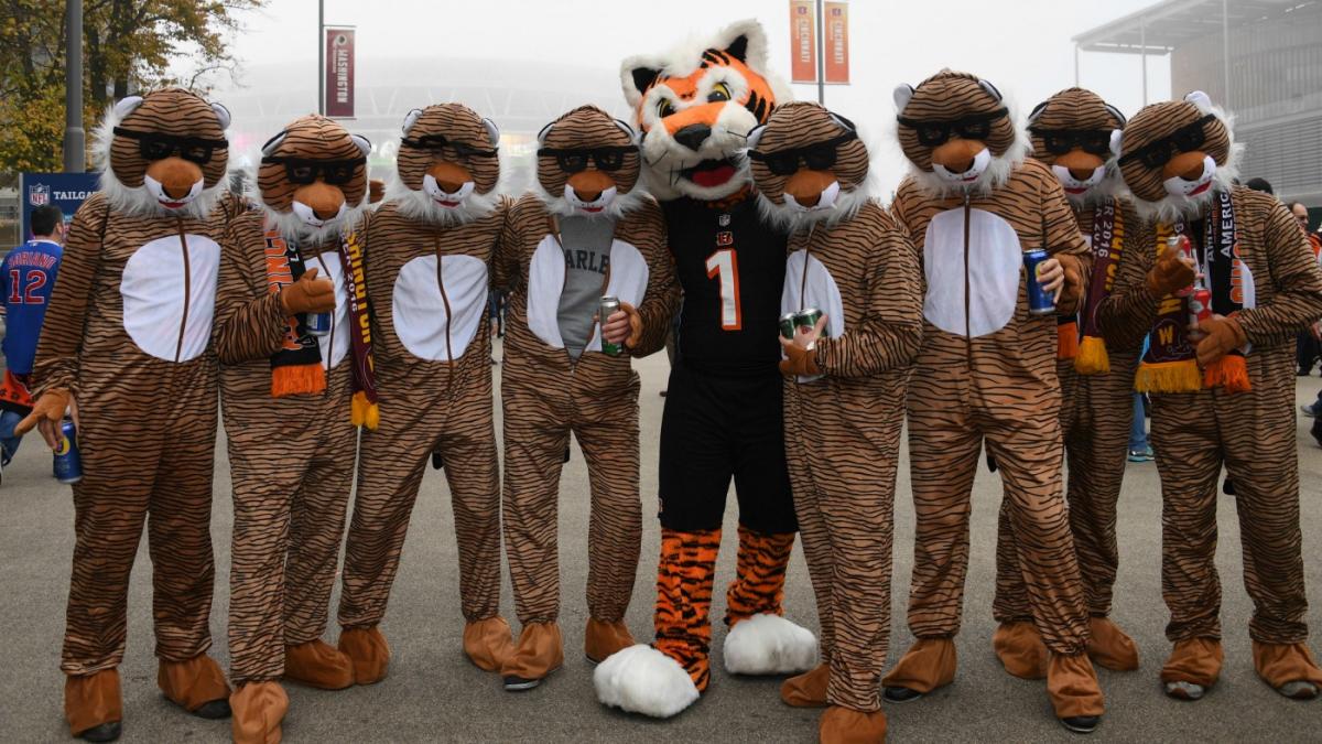 The Bengals NEW MASCOT costume for cats