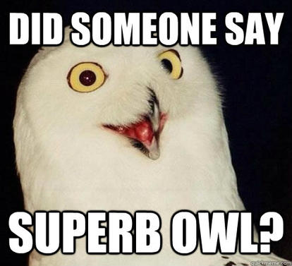 superbowl.jpg