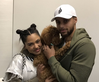 Steph and Ayesha Curry spent a pretty penny on an extremely good new dog -  CBSSports.com