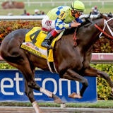 always-dreaming-florida-derby-kentucky.jpg