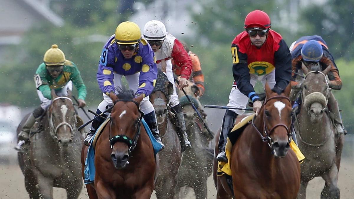 Preakness Stakes 2017 Payouts
