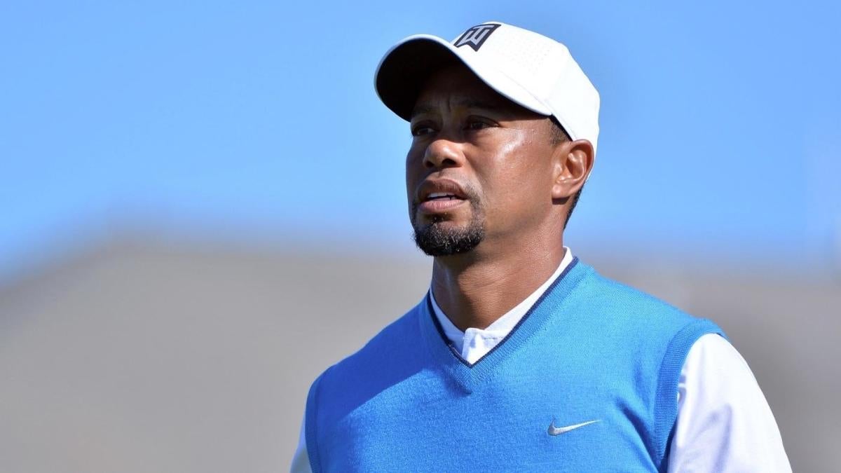 Tiger Woods says he's 'receiving professional help' to control