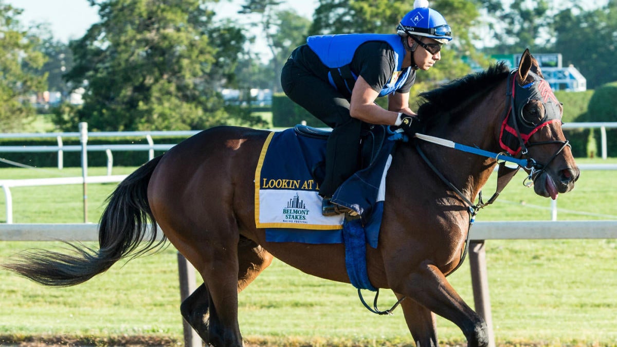 2017 belmont horses horse