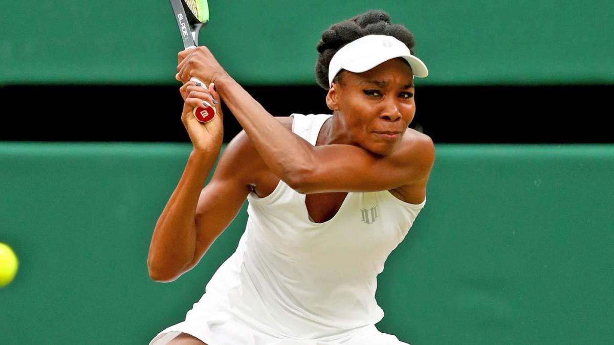 Venus Williams claims man killed in car crash wasn't wearing a seat