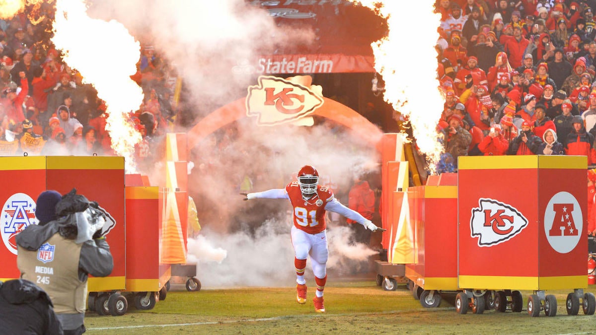 Tamba Hali Released by Chiefs After 12 Seasons with Team