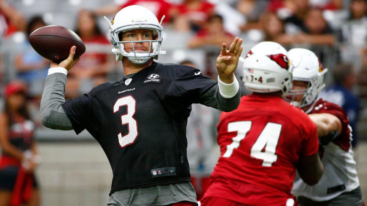 Carson Palmer: Cardinals RB David Johnson plays best when in space