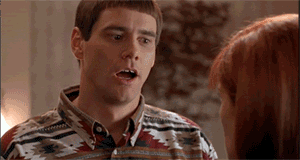 dumbanddumber.gif