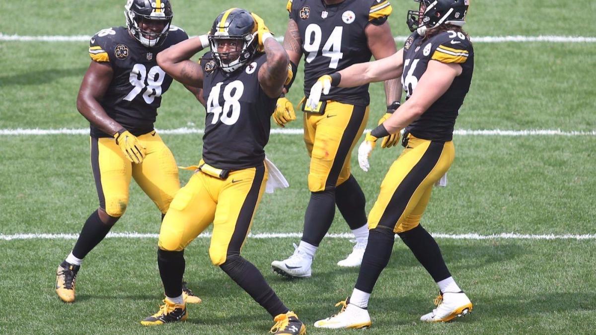 Steelers CPR Sack Celebration Was Not Cool