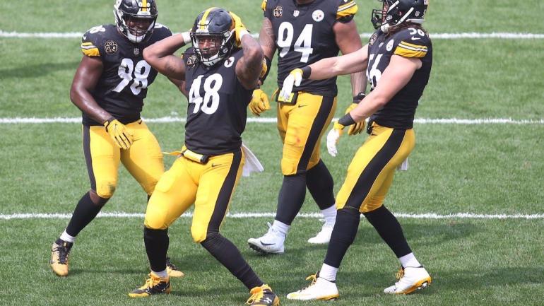 Steelers player hit with huge fine for his four-pump sack 