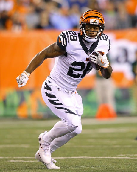 NFL: Houston Texans at Cincinnati Bengals