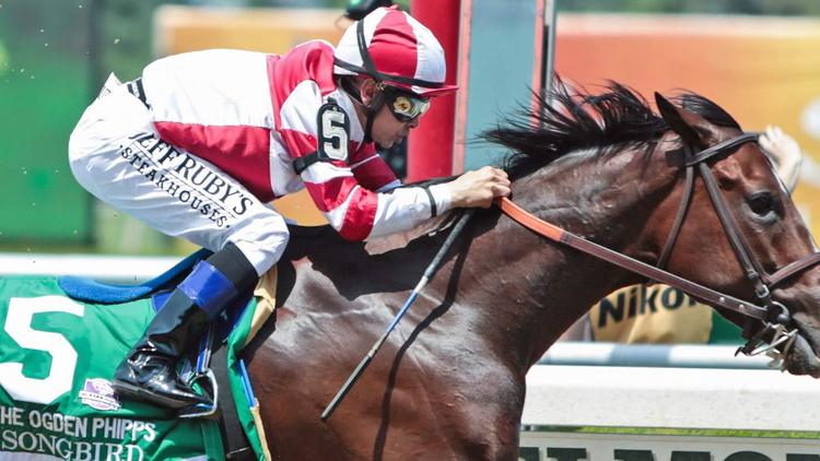 Racing Legend Mike Smith To Wear Jockey Cam On Helmet At Breeders Cup Cbssports Com